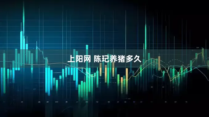 上阳网 陈玘养猪多久