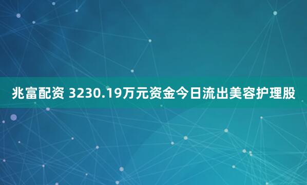 兆富配资 3230.19万元资金今日流出美容护理股