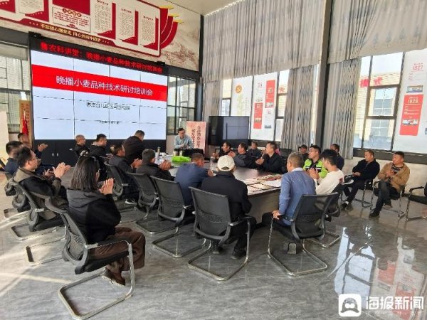 天天盈 今年小麦怎么种？ “鲁农科讲堂”专家现场支招