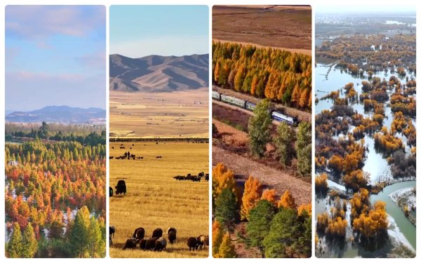 鸿牛配资 文化中国行｜赏秋正当时！“文旅+”新业态为秋日经济注入新活力