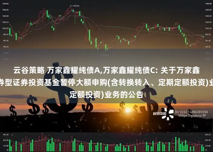云谷策略 万家鑫耀纯债A,万家鑫耀纯债C: 关于万家鑫耀纯债债券型证券投资基金暂停大额申购(含转换转入、定期定额投资)业务的公告